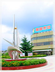 上海喔喔纯之奶糖批发价格与厂家信息详解——食品招商网助力对接优质供应链