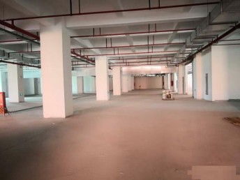 上海松江全新专业食品园区招租 环评易办、配套齐全，助力企业高效运营
